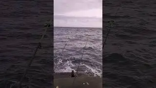 Немного штормит, но это меня не пугает. Морской рыбалке быть.