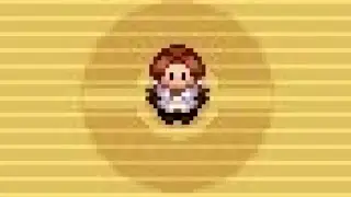 （ポケモンRSE）謎の隠しトレーナーを発見