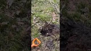 Обалденная находка в лесу🔥 1000 лет находке 