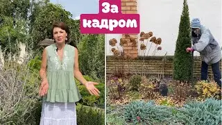 Magic plants from Ukraine