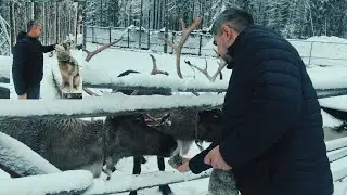 Вотчина Карельского Деда Мороза