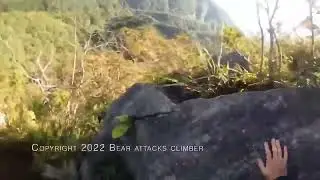 Медведь напал на скалолаза / bear attacks climber
