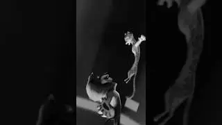Dancing With Our Hands Tied (Madagascar’s Version)