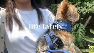 Dog is sick, Spa Date, Reunited with Friends, Therapy | Kye Sees