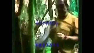 совесть вопроса пи прайд
