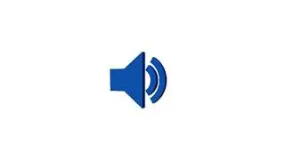 Labrador Barking Dog Sound