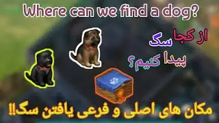Last Day on earth find a puppdog or puppyلست دی اون ارت از کجا سگ پیدا کنیم