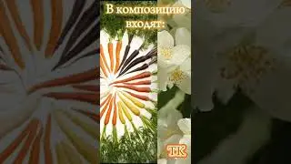 ЛАВИНЬЯ. ЖЕНСКИЙ ПАРФЮМ ОТ ЭРСАГ