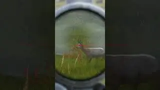 Где взять много верёвок в DayZ  
