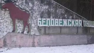 Поездка в Беловежскую пущу.