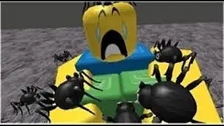 RAIGFORCE plus Public test