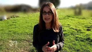 Saisie de 80 animaux dans la ferme de l'horreur