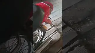 13 ноября 2023 г.
