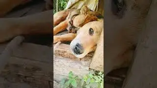 опят спасли его