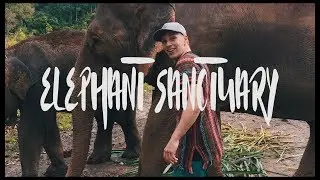 ELEPHANT SANCTUARY - CHIANG MAI - THAILAND VLOG #4