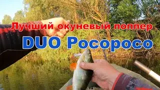Лучший ПОППЕР на окуня - DUO Pocopoco