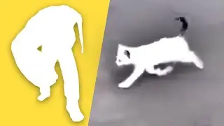 Left 4 Dead Cat 8