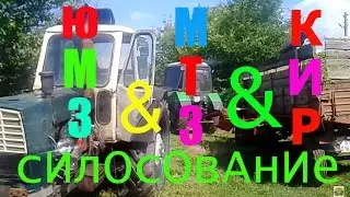 Силосование 2015 тракторами  МТЗ 82.1 с косилкой КИР 1.5 и ЮМЗ -6 с прицепом 2птс 4