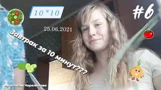 Готовлю завтрак за 10 минут??10*10/Анастасия Черепанова