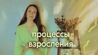 Здравствуй, 2024. Где найти опору?