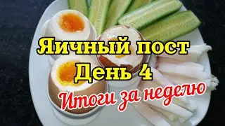 05.+06.05.2023 Яичная диета🥚День 4🥚Итоги за неделю