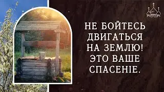 Уходите из городов на землю. Это ваше спасение!