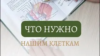 Наш организм – это умная самовосстанавливающаяся система.