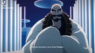 Ichigo leaves the soul king Palace but...