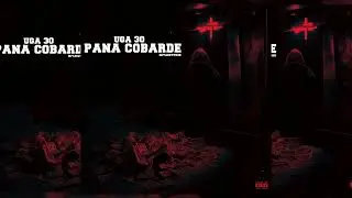 UGA 30 - Pana Cobarde - (miyaggyprod) (Audio Visualizer)