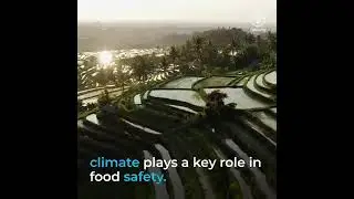 #climatechange affect our health, livelihoods, economies & cross-border trade.