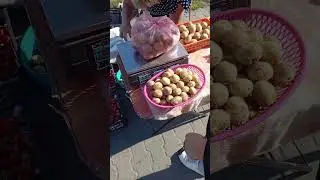 картошка Беларусь
