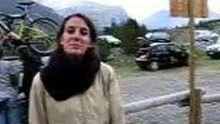 sil documenta 4 : pino mugo