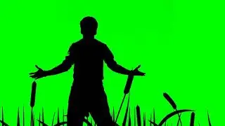green screen video background effect vfx Tiktok sed boyfriend  caroma key