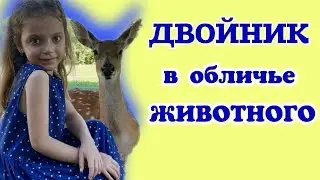 Двойник в обличье животного. Удивительные историии