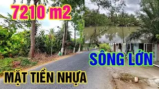 Đất Mặt Tiền Lộ Nhựa 7210 m2 Phía Sau Giáp Sông Lớn Làm Khu Du Lịch VLXD Xã Thành Triệu