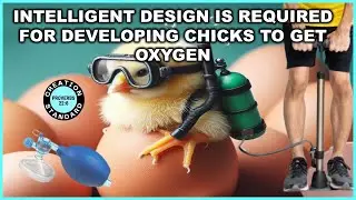 INTELLIGENT DESIGN IS REQUIRED FOR DEVELOPING CHICKS TO GET OXYGEN FROM WITHIN THE EGG SHELL