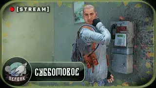 PERVAK | DayZ 1.24