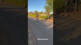 O CACHORRO SALVOU 😂