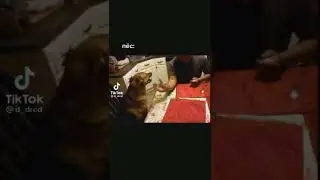 СЛЕДУЮЩАЯ НЕДЕЛЯ(НЕДЕЛЯ ЭДИТОВ