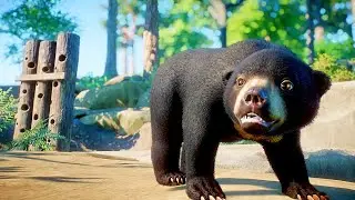 Sun Bear Habitat Speed Build | Planet Zoo Southeast Asia Animal Pack