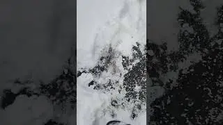 10 декабря 2023 г.