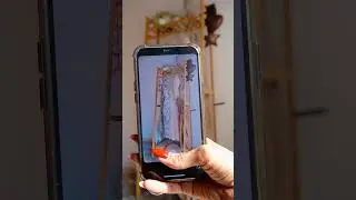 How to zoom in boomerang
