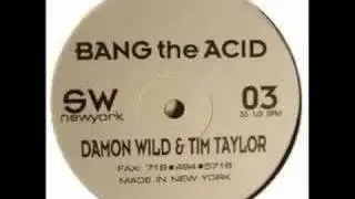 Damon Wild & Tim Taylor - Bang The Acid