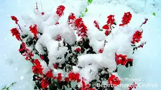 Веретенников С. Новый стих: Снег