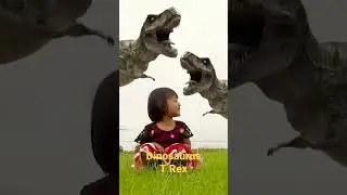 T Rex - Dinosaurus