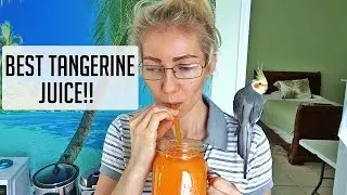 Making the BEST Tangerine Juice with my parrots! 🍊🍹👍