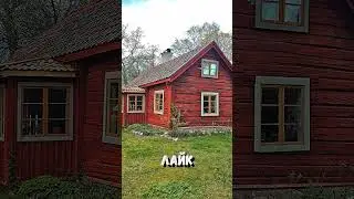 Что выберишь? 