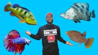LET ME CATCH YOU UP ON SOME THINGS
