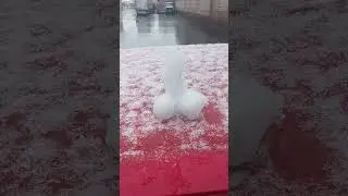 С ДОБРЫМ УТРОМ 