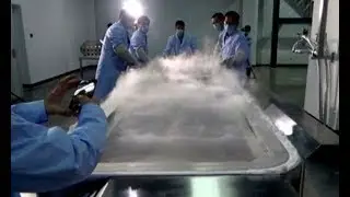 Congelaron cuerpo de mujer para poder revivirla en el futuro - LA MAÑANA